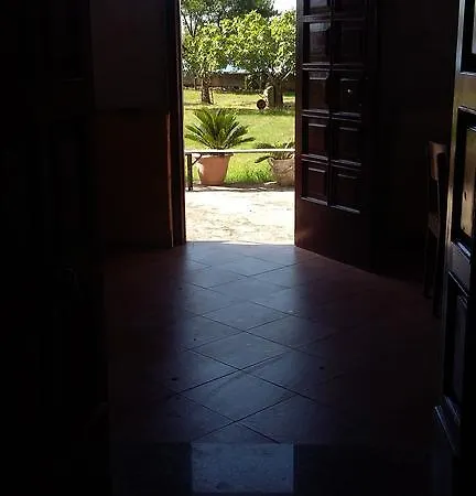 Lorenzo Tropea
